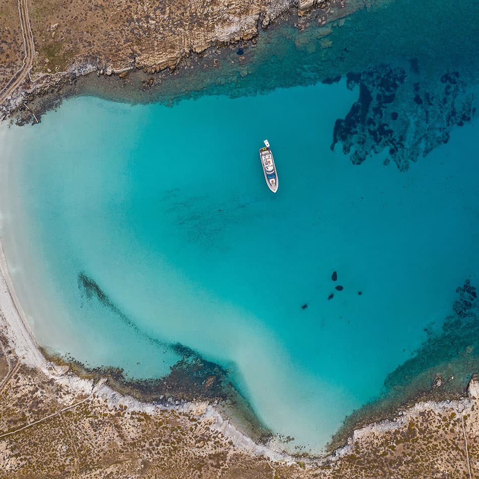 Delos & Rhenia
